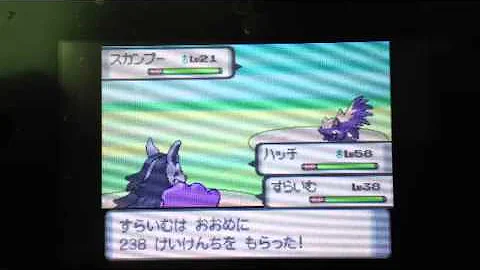 ポケモン ダイヤモンド マスター ボール 増殖
