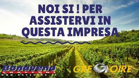 Gregoire GL8.6  Vendemmiatrice / Bonaveno trattori