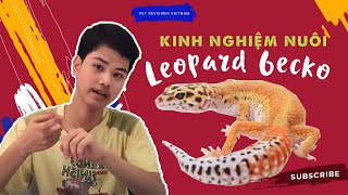 [ Chia sẻ kinh nghiệm] Cách nuôi Leopard Gecko How to keep a leopard gecko as pet?/ PET REVIEWER