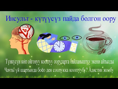 Video: Сквош кайдан пайда болгон?