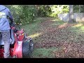 "X" Blades For Mulching Leaves?