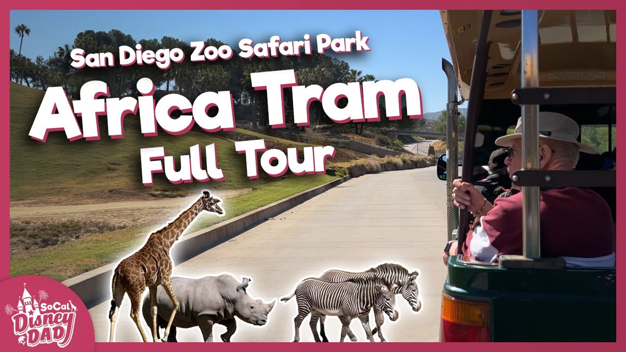 africa tram safari vs cart safari