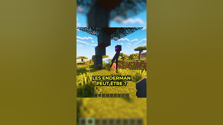 L'EnderDragon cache un SECRET TERRIFIANT… 😨 (Théorie Minecraft)