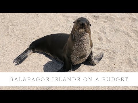 Galapagos Islands Peru on a Budget [Bucket List] 2018