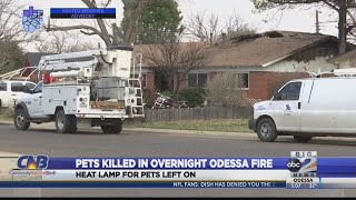 Pets killed in Odessa house fire