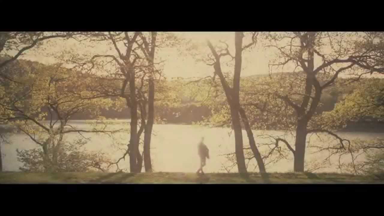 MAD FOX - Fade Into The Sun (Official Music Video)