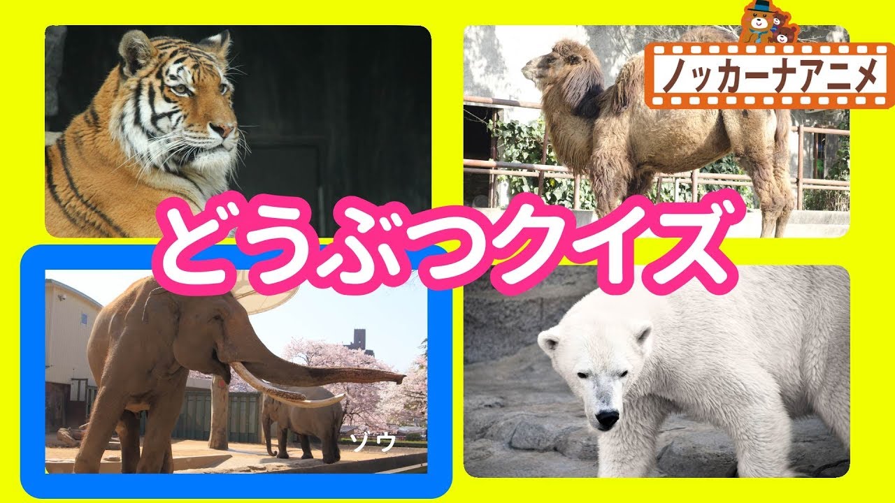 どうぶつ クイズ 動物園 ゾウ キリン パンダ 赤ちゃん 幼児向け