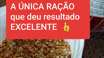Pode dar sal mineral para galinha?