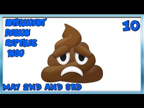 ideal college [BLANK] HIT THE FAN