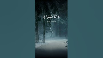 سورة البقرة الآية 44 و 45 بصوت القارئ محمد الفقيه
