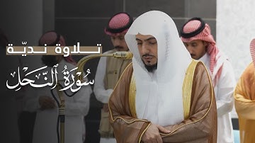 تلاوة نديِّة من سورة النحل للشيخ د.الوليد الشمسان | مغرب السبت 19-4-1447هـ