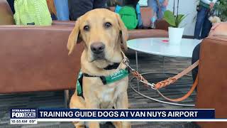 Guide Dogs for the Blind puppy raising outing with RetrievAir