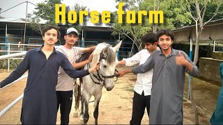 Amazing farm house 😍| Horse farm house