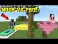 Minecraft: NOOB VS PRO!!! - BUILD BATTLE PRO TEAM! - Mini-Game