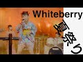 Whiteberry「夏祭り」MUSIC VIDEO