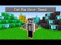 Bat Minecraft Pe Cel Mai Usor Seed!