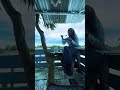 Icip nasgor buatan aku diatas rumah pohon #viral #rumahpohon #shortvideo #short #minivlog