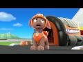 Paw Patrol Character Spot Zuma 