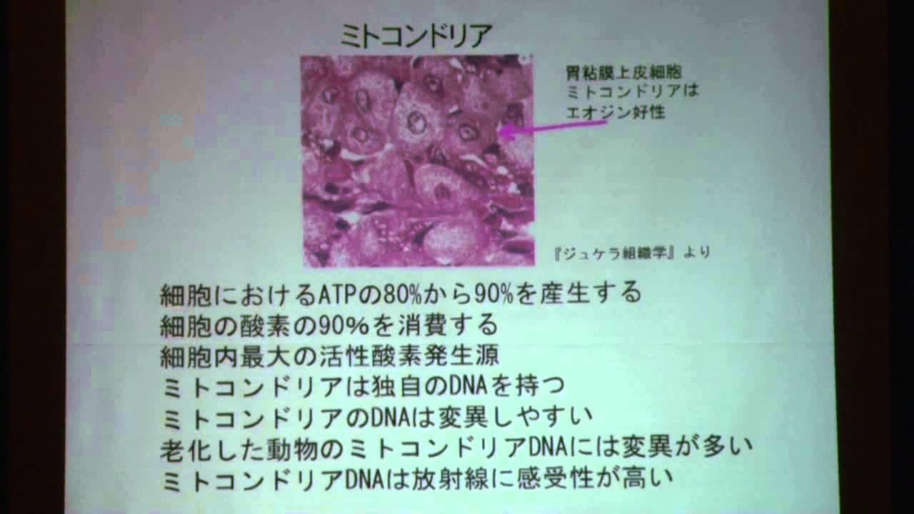 第三回市民科学者国際会議 : 崎山比早子