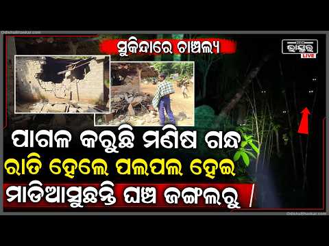 ଅନ୍ଧାର ହେଲେ ପଲ ପଲ ହେଇ ଗାଁକୁ ମାଡି ଆସୁଛନ୍ତି ହାତୀ, ଜୀବନ ନେଲା ପରେ ଫେରୁଛନ୍ତି ଜଙ୍ଗଲକୁ...