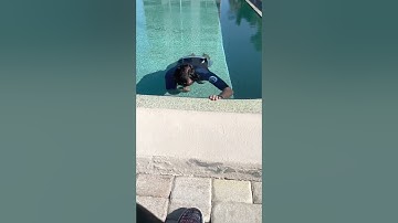 Video #1 of 14: a story of a 5-week path to overcome fear of water and learn to swim, pool & ocean