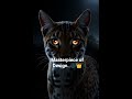 The Silence of the Savannah: Serval | Nature Noir #fypシ #fypシ゚viral #fyp #Wildlife