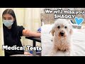 R.I.P. Shaggy 💔 | Medical Tests...Finally getting some answers