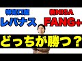【FANG+】特定口座レバナス vs 新NISA FANG+　リスクリターン徹底検証!!