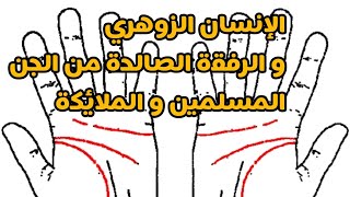 الإنسان الزوهري ، علاقته بملوك الجن المسلمين و الملائكة معلومات ستصدمك