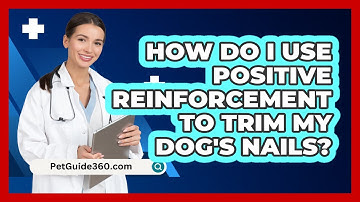How Do I Use Positive Reinforcement To Trim My Dog