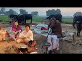 The real rural life pakistan  in winter fog december 2023  unseen village culture