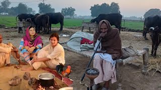 The Real Rural Life Pakistan 🇵🇰 In Winter Fog December 2023 | Unseen Village Culture