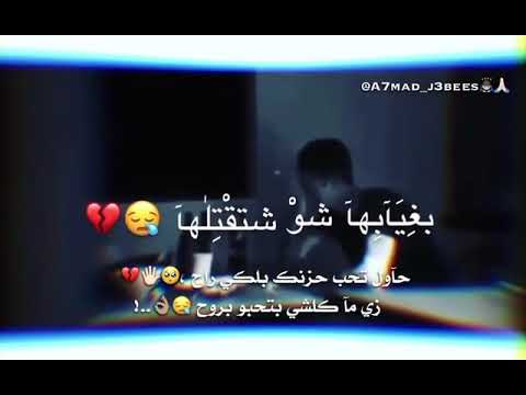 يا طير دخلك قلها حالات واتس انستا