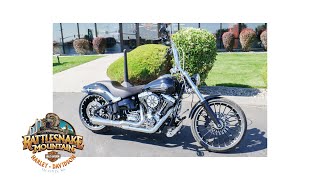 2017 Harley-Davidson Breakout Softail FXSB | Rattlesnake Mountain H-D