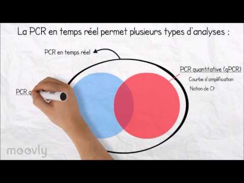 Vidéo: Utilisation De La PCR Multiplex En Temps Réel, Du Test De Diagnostic Rapide Du Paludisme Et De La Microscopie Pour étudier La Prévalence Des Espèces De Plasmodium Parmi Les Patient