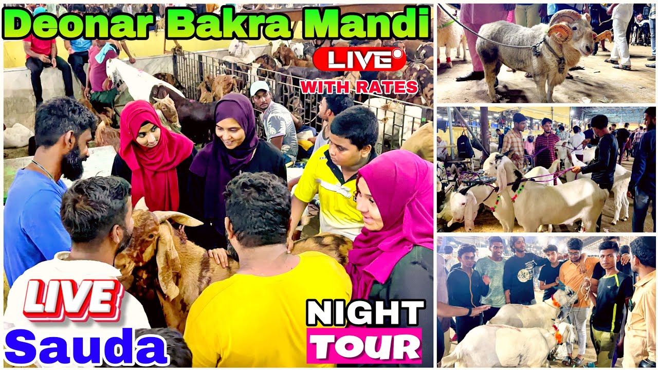 Deonar bakra mandi Day 6 night update and live sauda