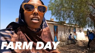 UNEXPECTED FARM DAY IN HARGEISA SOMALILAND 2024