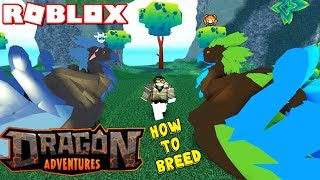 Roblox Dragon Adventures How To Breed How To Get More Money Faster Owl Dragon Jungle Lands Youtube - levitathan dragon adventure roblox