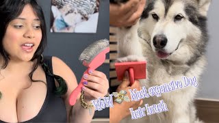 The most expensive Dog brush | Chris Christensen Grooming tools