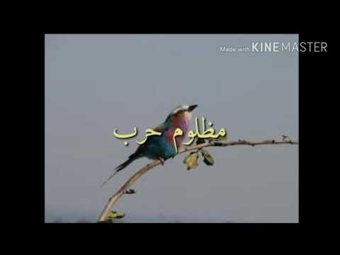 أنشودة أستغفر الله في منتها الرووووعه