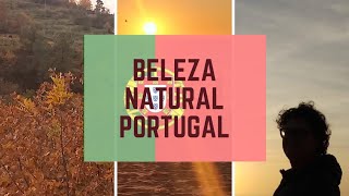 🇵🇹 A beleza e a história de Quintandona : um tesouro escondido no Porto, Penafiel, Portugal.