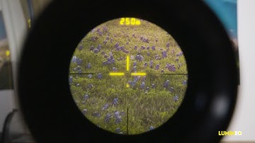 LUMINEQ optical display demo ELT32S RETICLE BAT