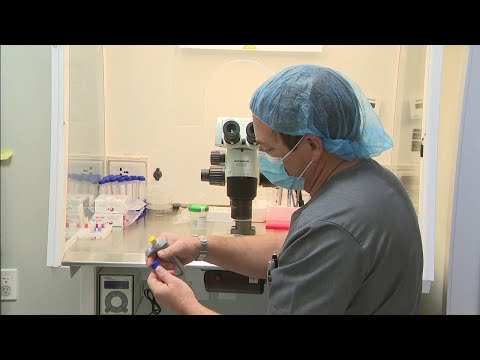 Discovery may improve success of IVF