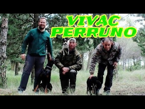 Vivac Perruno/ #Yankee Adventure kayak flight