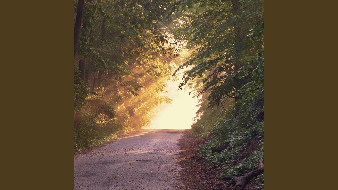 Watch Soft Ambient Beautiful on YouTube Watch Soft Ambient Beautiful on YouTube