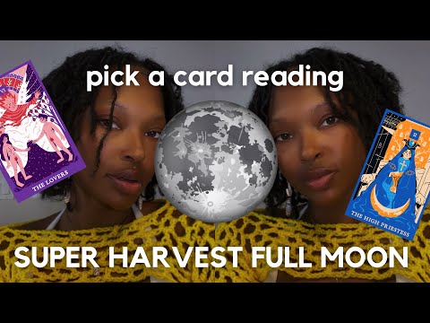 SUPER HARVEST MOON