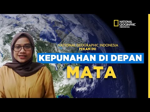 Video: Perbedaan Antara Kepunahan Massal Dan Kepunahan Latar Belakang