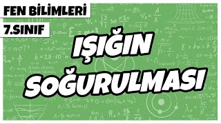 7 Sınıf Fen Bilimleri - Işığın Soğurulması 2022