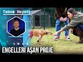 Teknoloji Şirketlerinden Patili Dostlara Yardım Eli | Tekno Hayat - 1 Şubat 2025