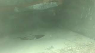IMG 1812